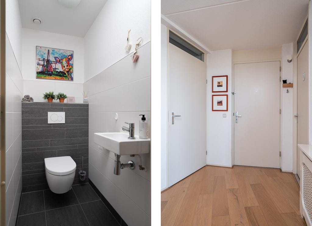 Foto 19 van Apollovlinder 72