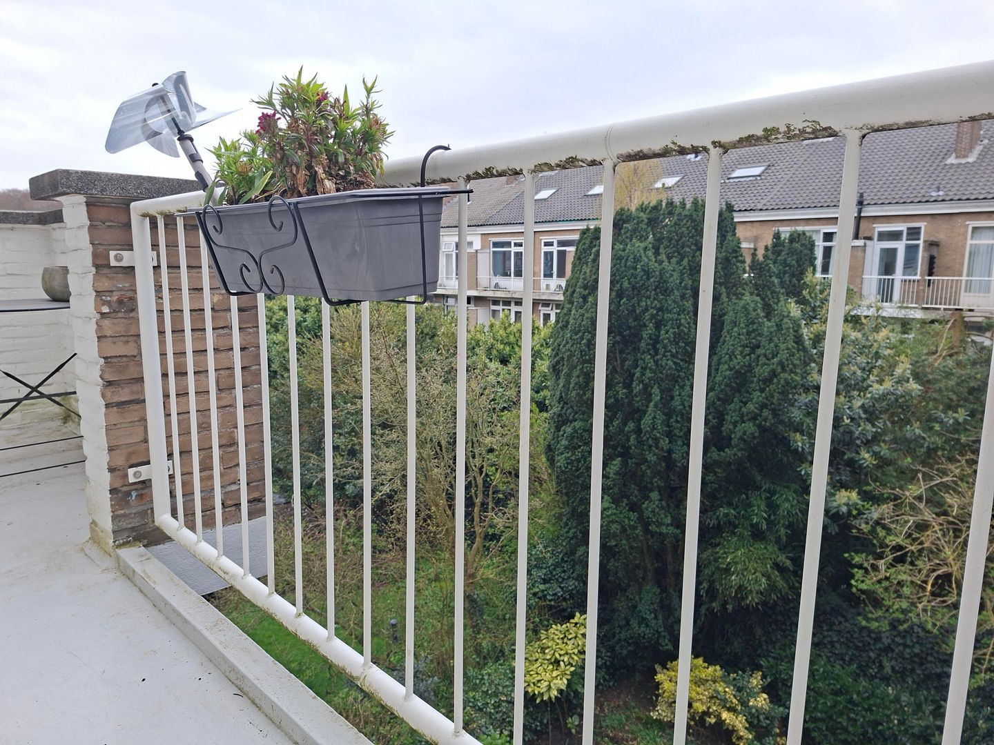 Foto 20 van Pieter Meinersstraat 56