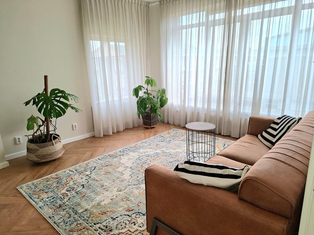 Foto 2 van Pieter Meinersstraat 56