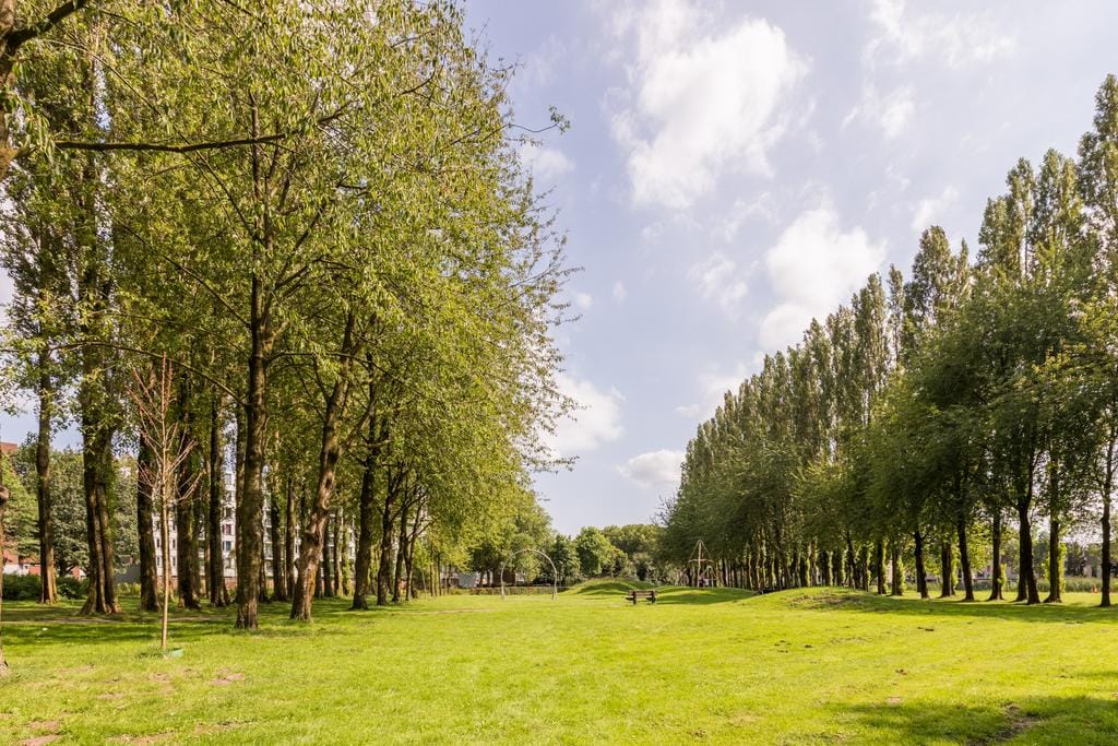 Photo 33 of Kasterleestraat 384