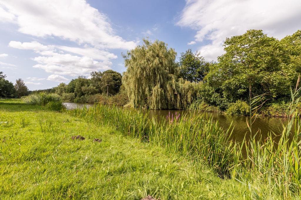 Photo 35 of Kasterleestraat 384