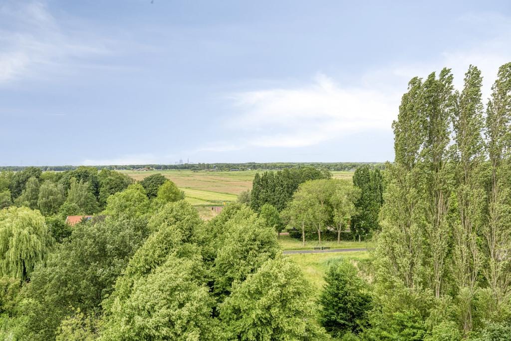 Photo 32 of Kasterleestraat 384