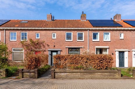 Duifstraat thumbnail