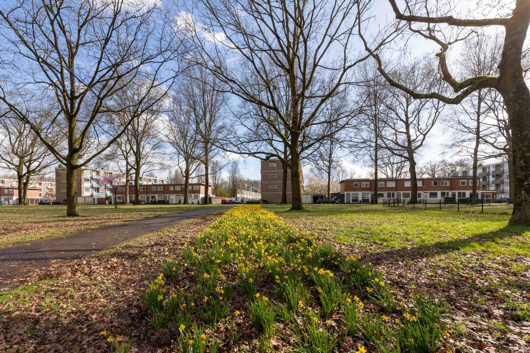 Foto 1 van Münsterstraat 4