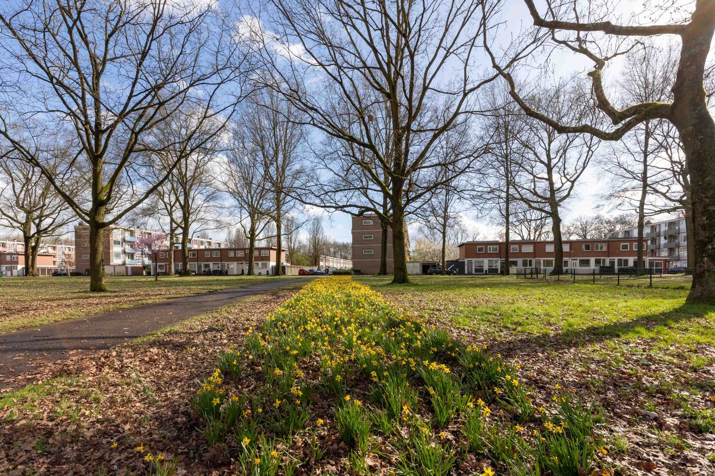 Foto 1 van Münsterstraat 4