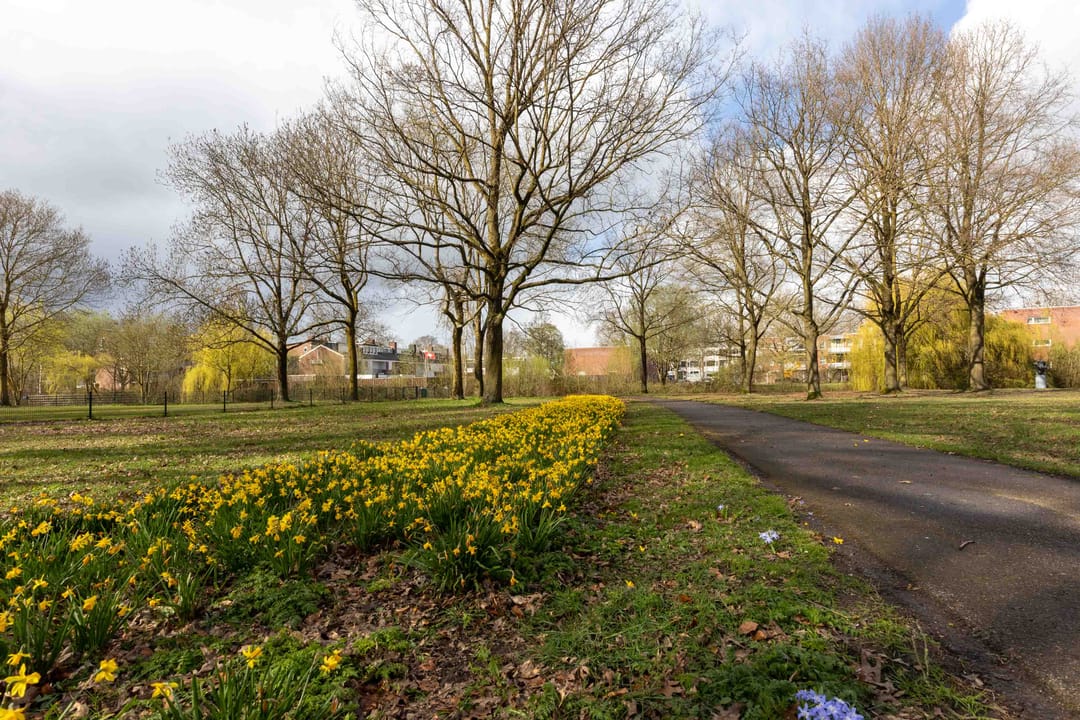 Foto 16 van Münsterstraat 4