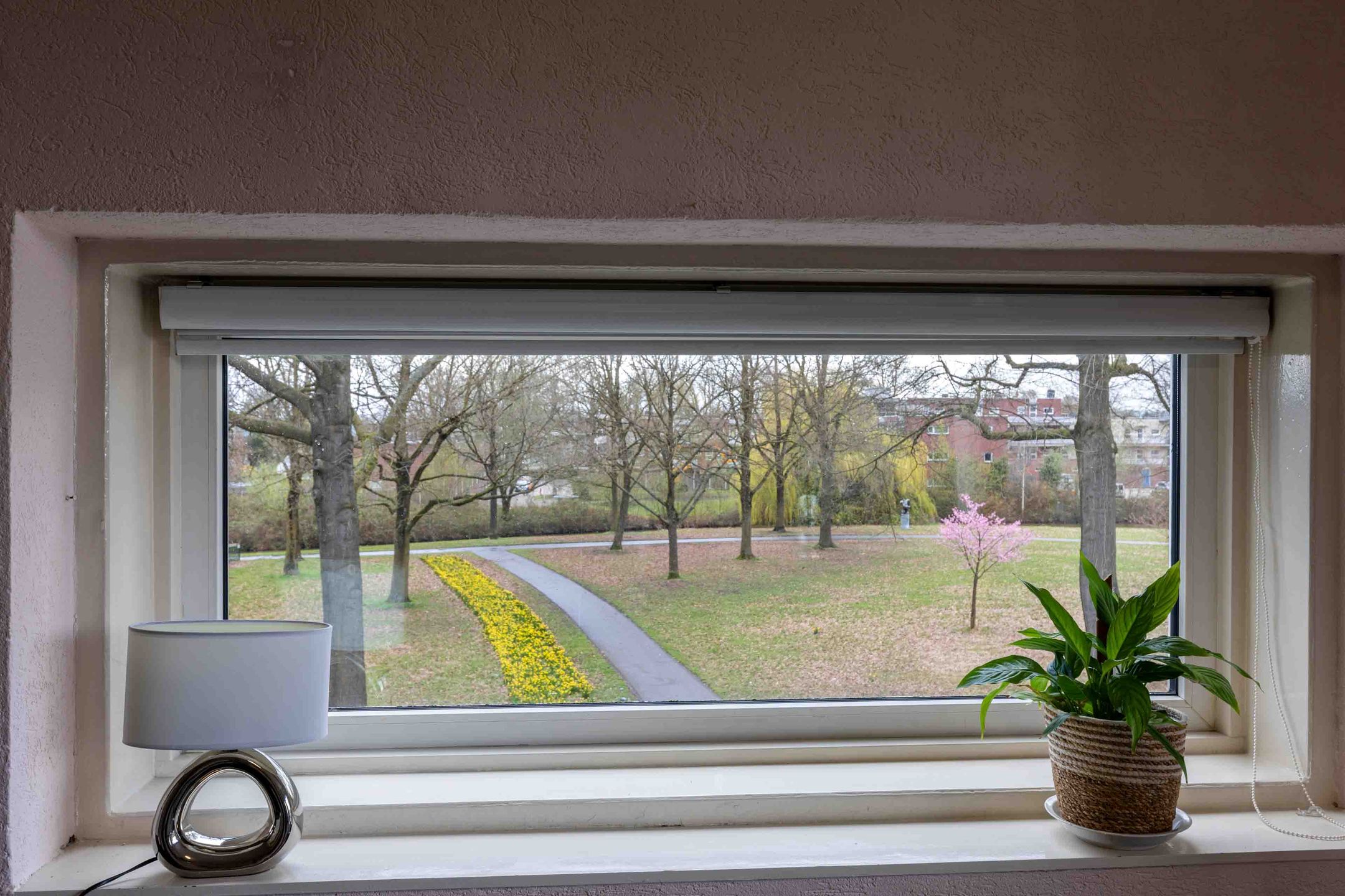 Foto 3 van Münsterstraat 4