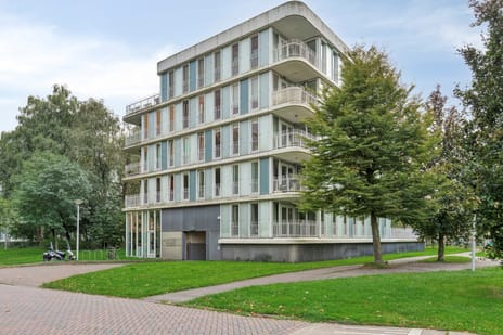 Professor J.H. Gunningstraat thumbnail