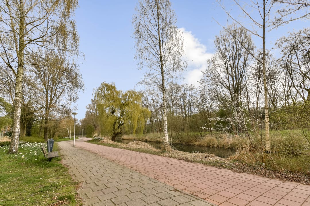 Photo 26 of Boschplaat 40