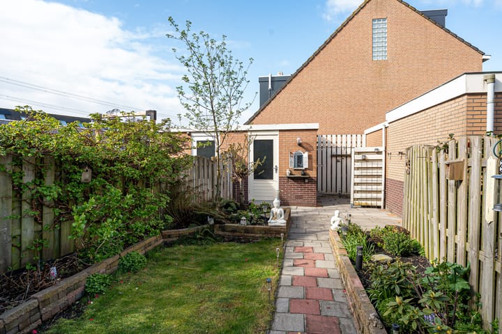 Foto 3 van Basalt 29