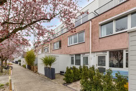 Narwalstraat thumbnail