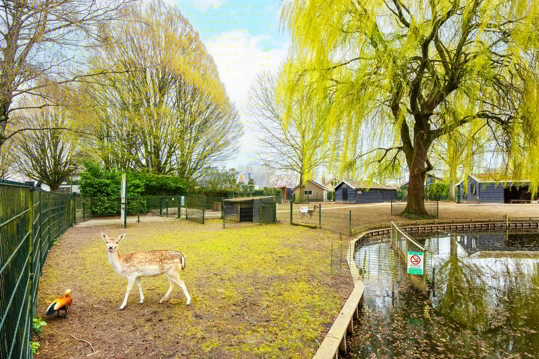 Foto 56 van Glazenierslaan 39