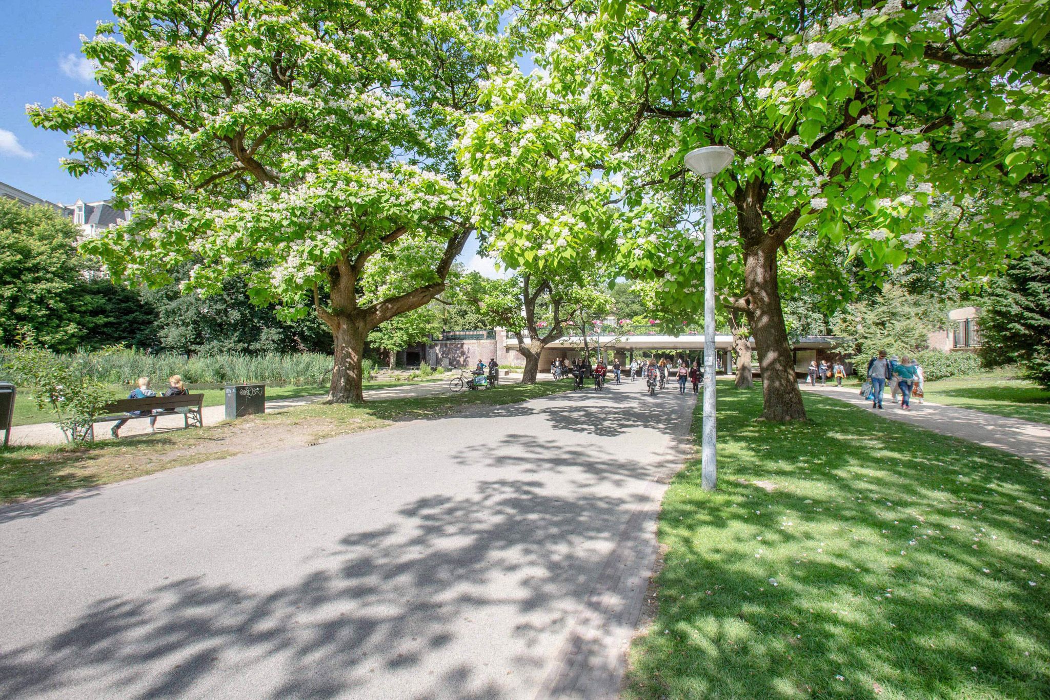 Foto 39 van Wilhelminastraat 124-H