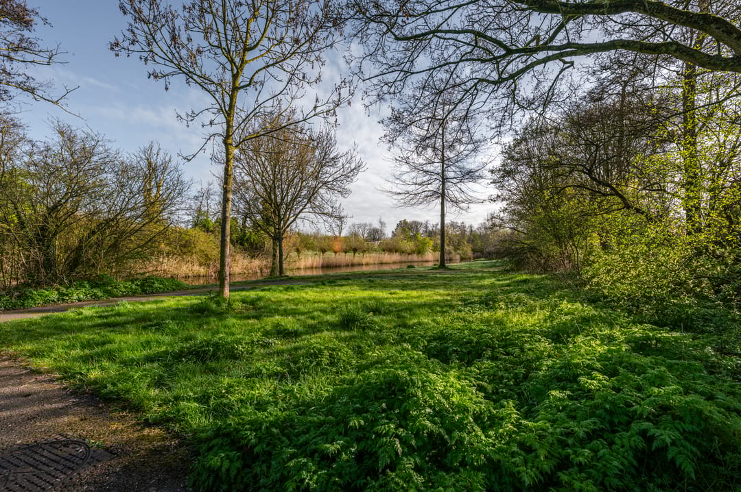 Foto 8 van Gravenhof 20