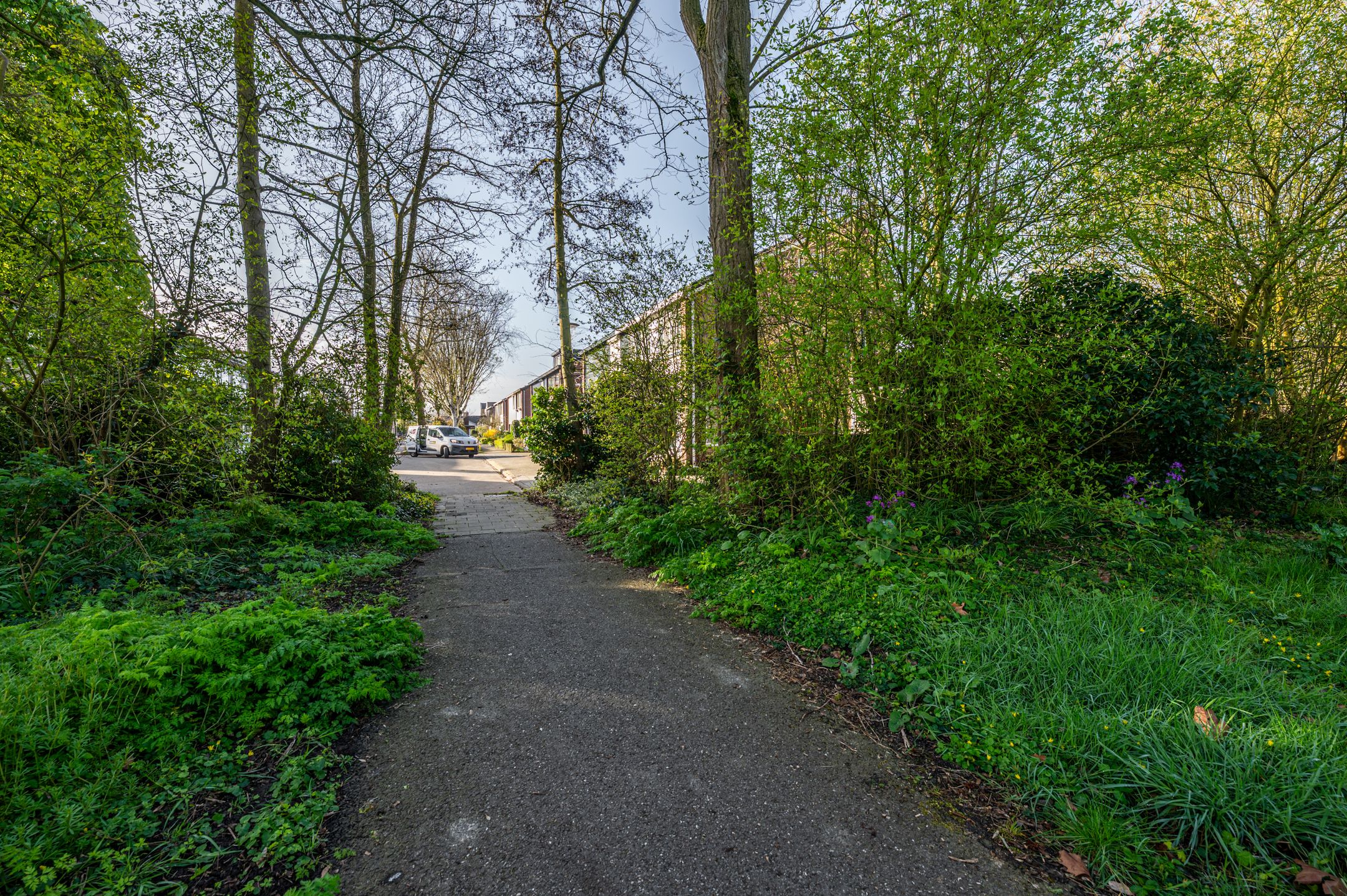 Foto 9 van Gravenhof 20