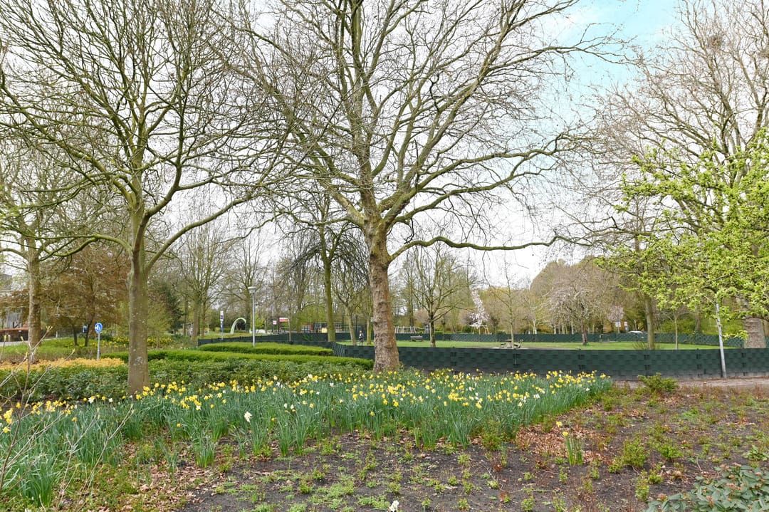 Foto 47 van Koningin Wilhelminalaan 442