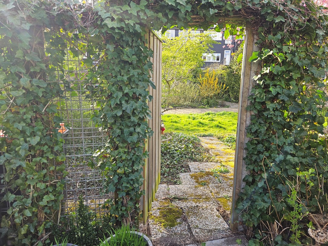 Photo 22 of Europaweg 60