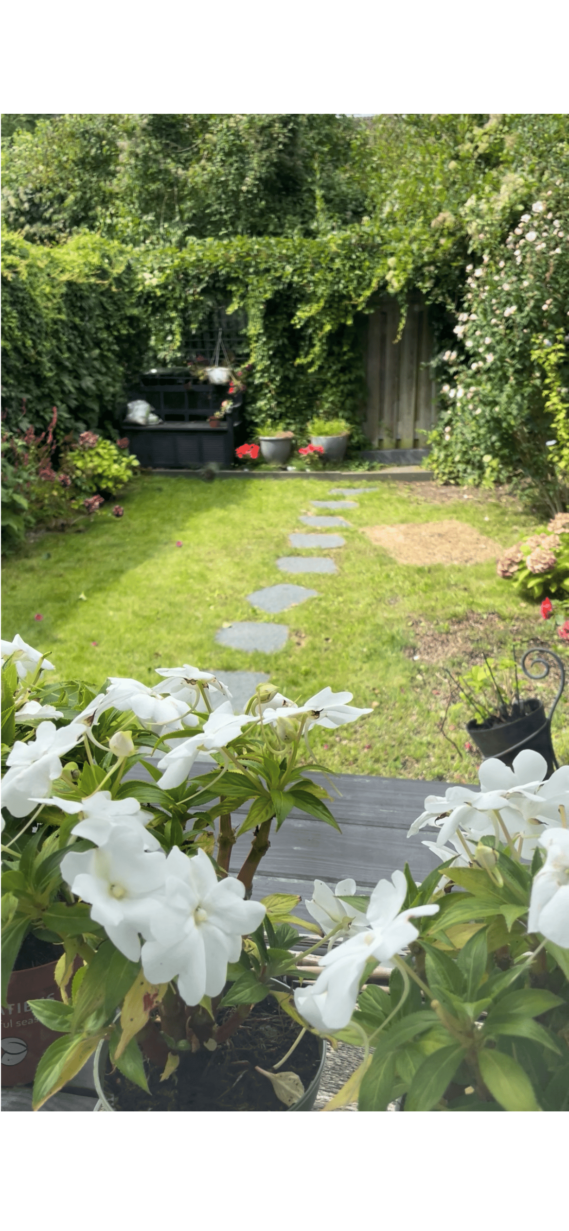 Photo 21 of Europaweg 60