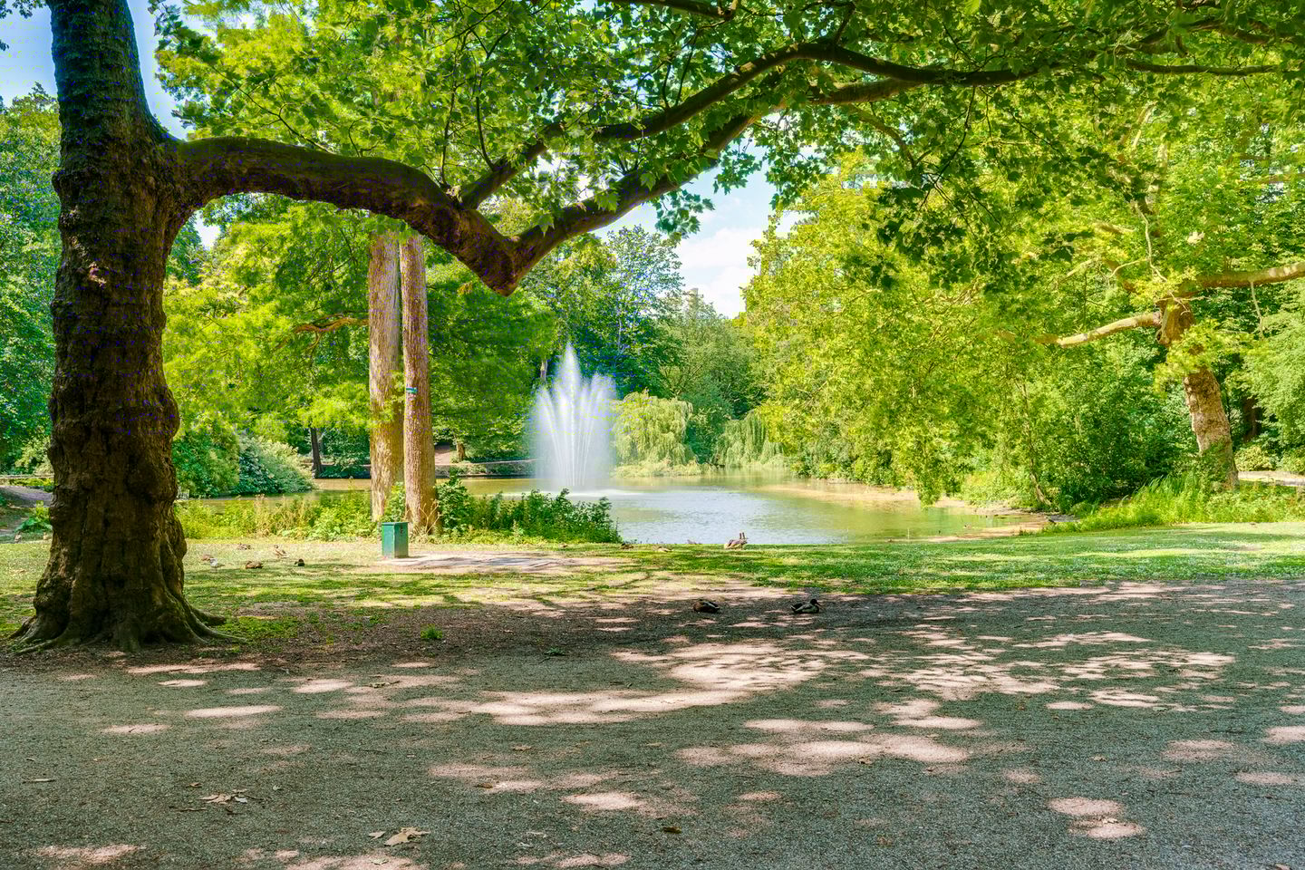 Foto 35 van Arnoldus Rotterdamstraat 30