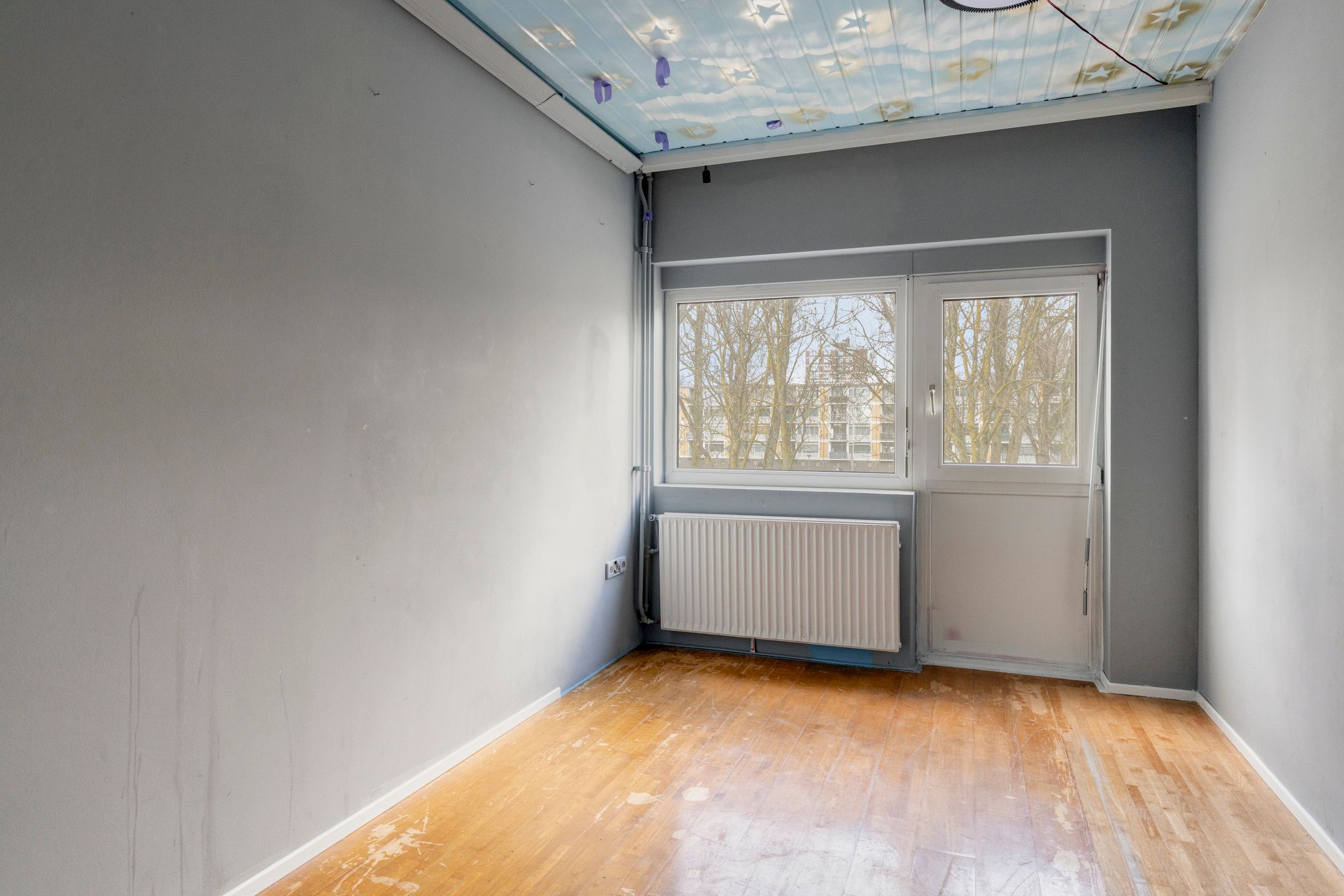 Foto 18 van Linnaeusstraat 148