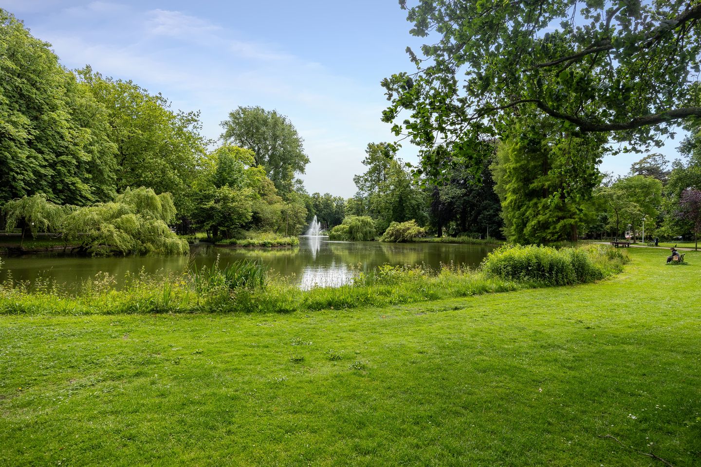 Photo 44 of Buys Ballotstraat 5