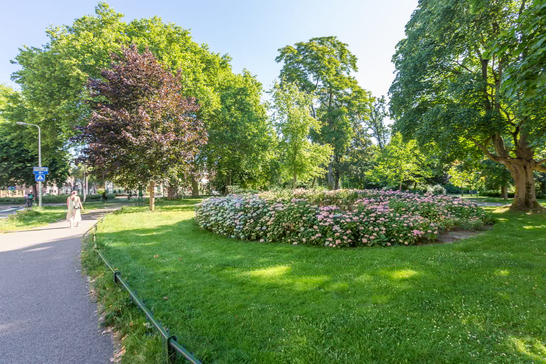 Photo 46 of Buys Ballotstraat 5