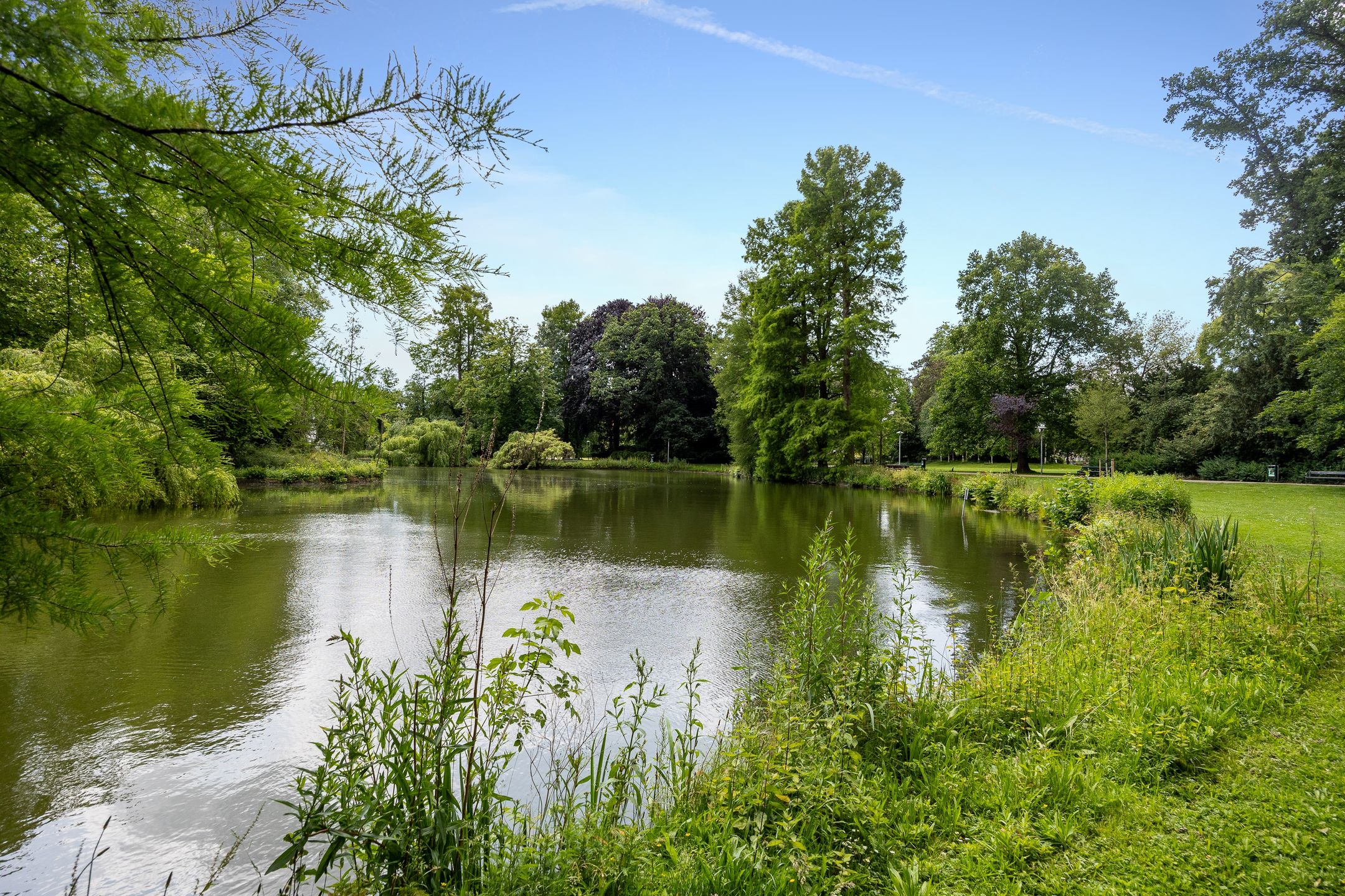 Photo 45 of Buys Ballotstraat 5