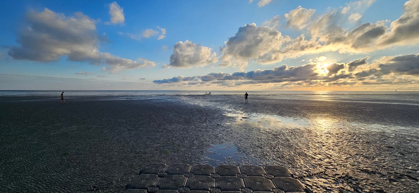 Foto 29 van Koningin Julianastraat 31