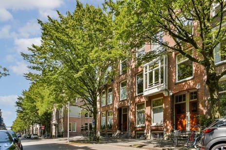 Nicolaas Maesstraat thumbnail