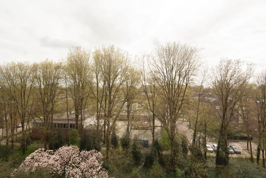 Foto 14 van Van Nijenrodeweg 495