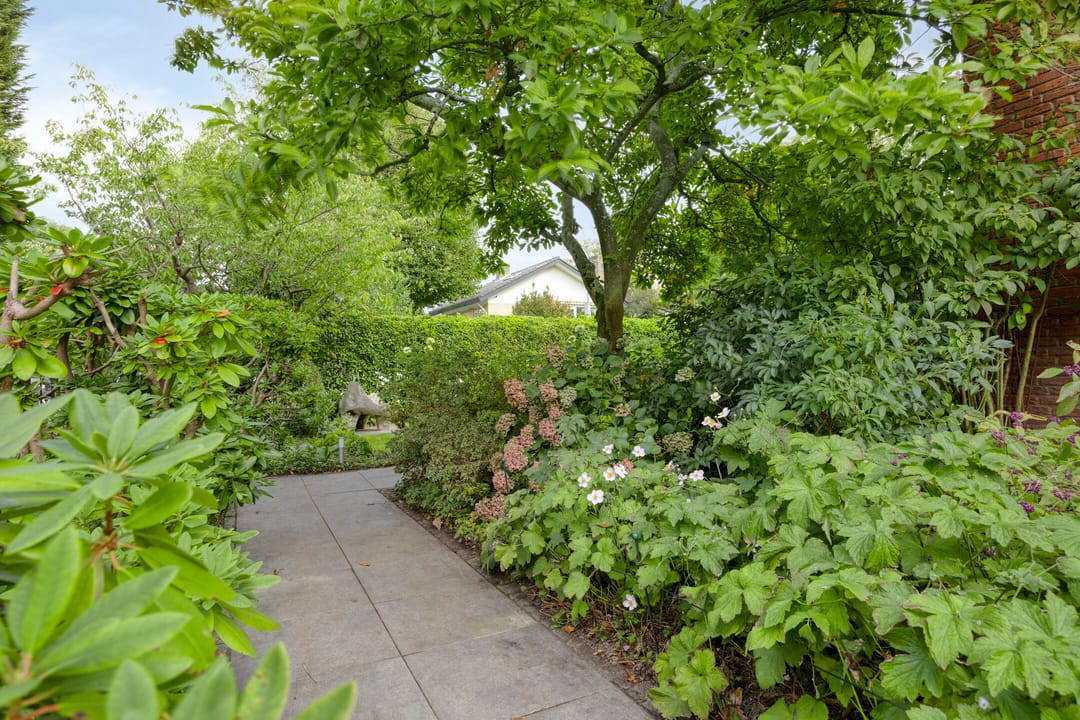 Foto 56 van Berkenlaan 1