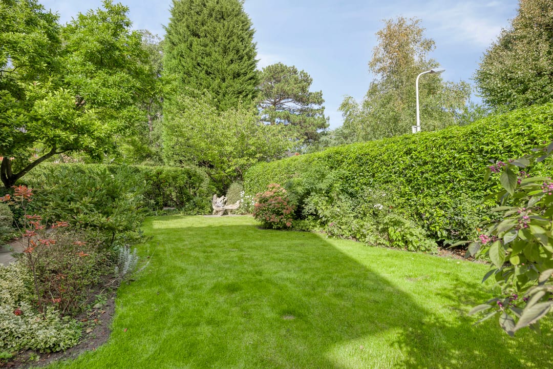 Foto 53 van Berkenlaan 1