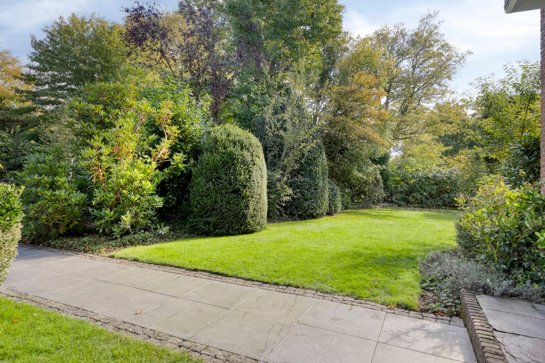 Foto 52 van Berkenlaan 1