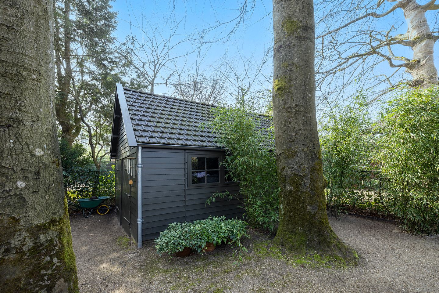 Photo 59 of Museumlaan 3