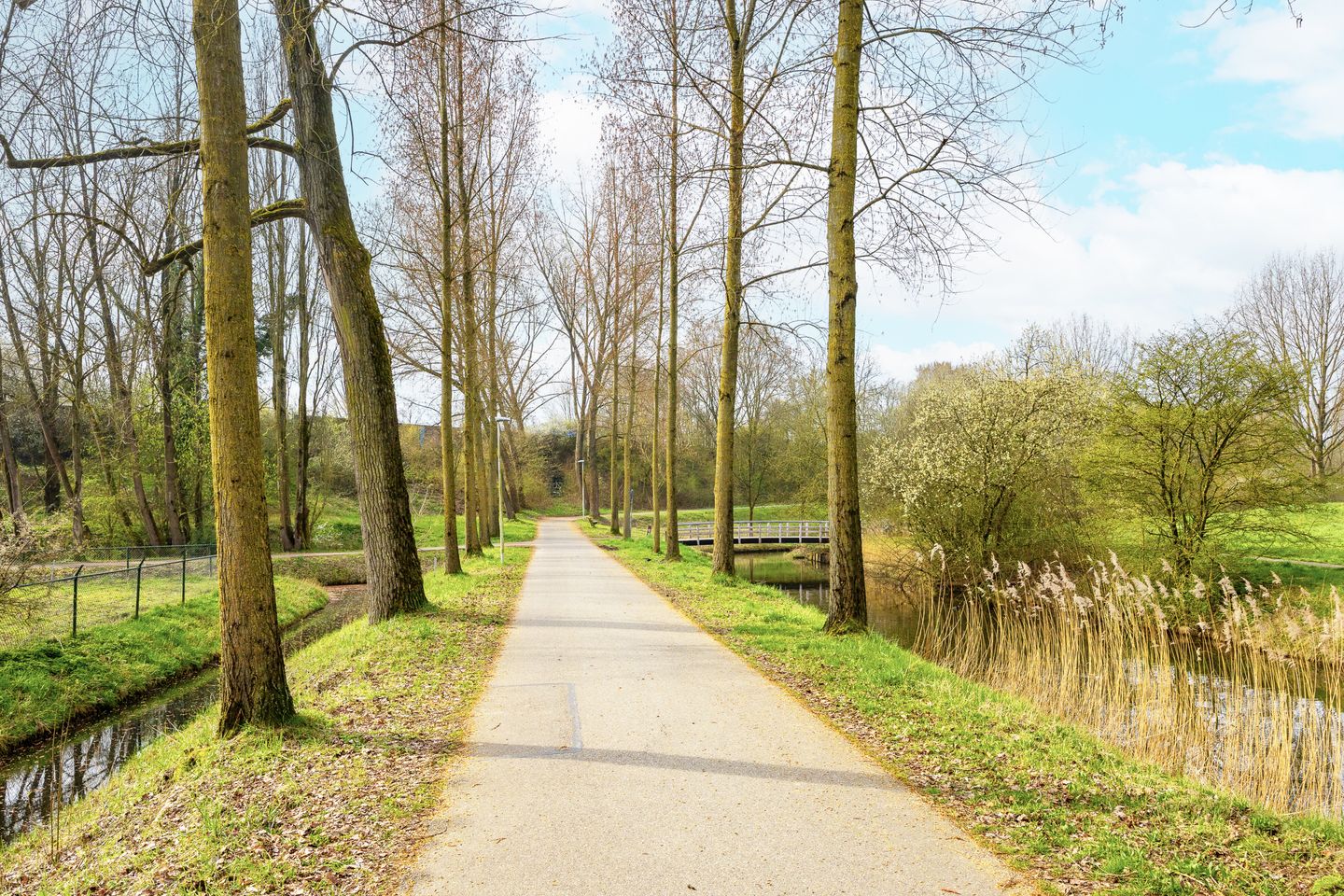 Photo 44 of Furkabaan 810