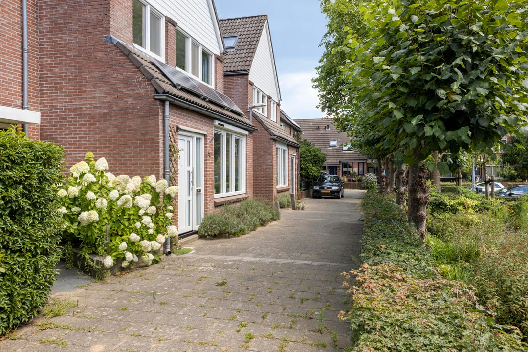 Photo 38 of Vogelslag 52