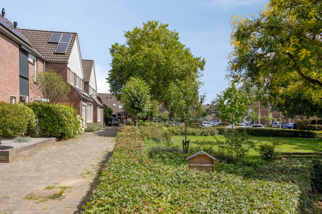 Photo 37 of Vogelslag 52