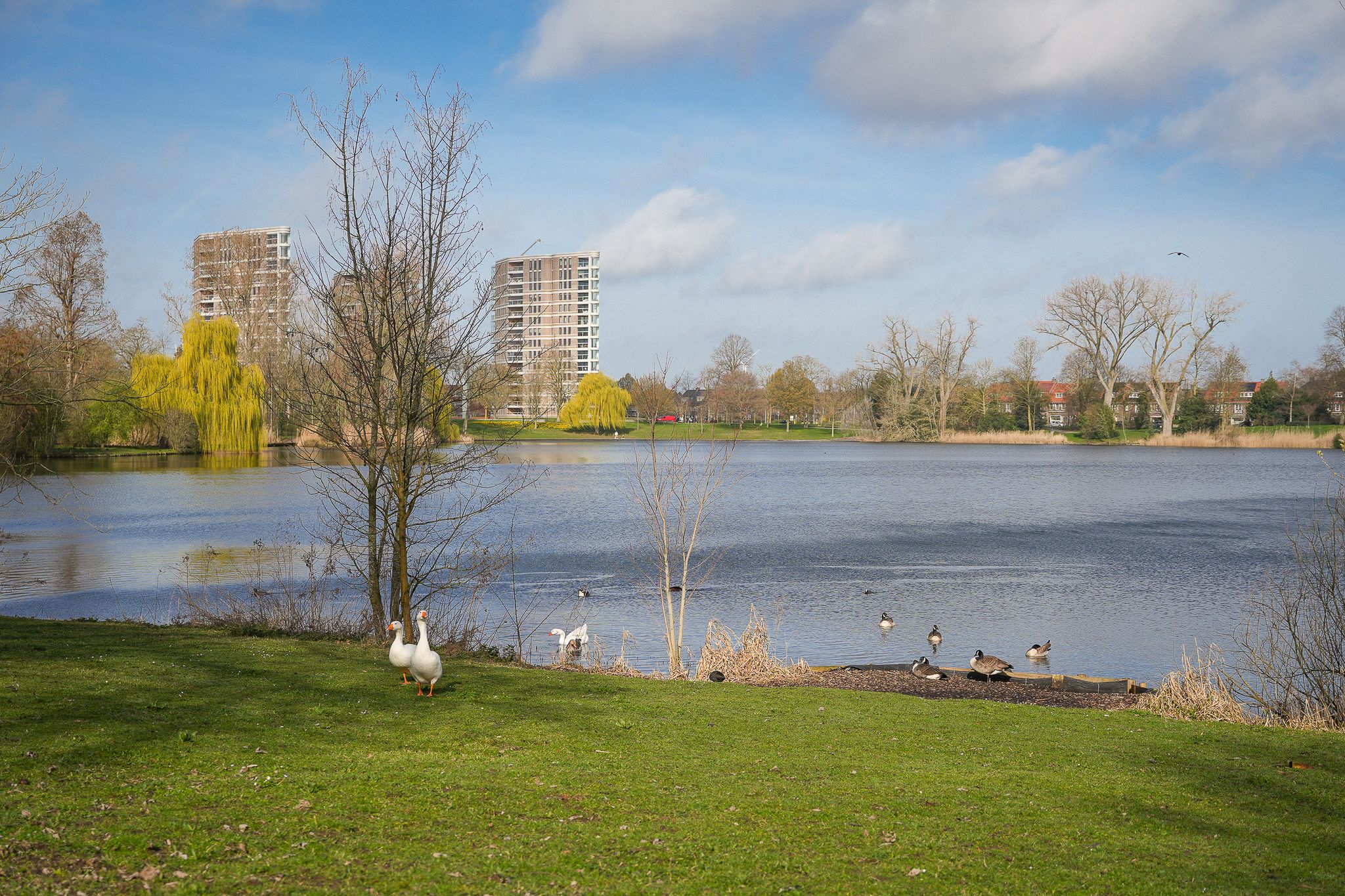 Photo 45 of Westenburgerweg 72