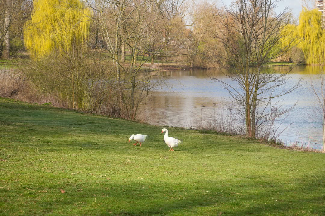 Photo 47 of Westenburgerweg 72