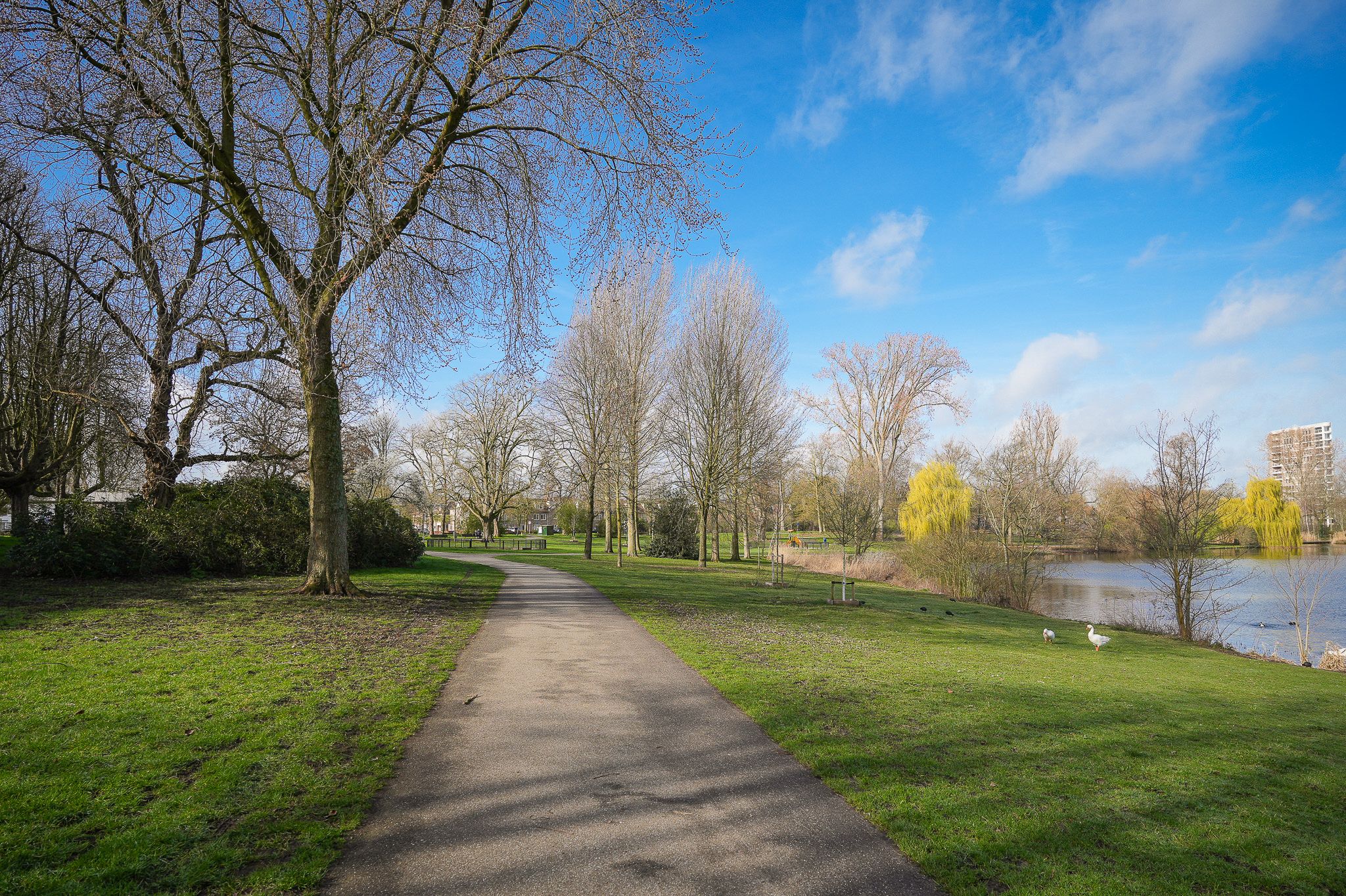 Photo 48 of Westenburgerweg 72