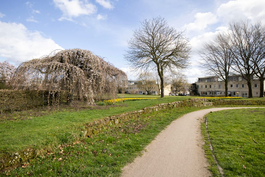 Foto 41 van Rousseaustate 20