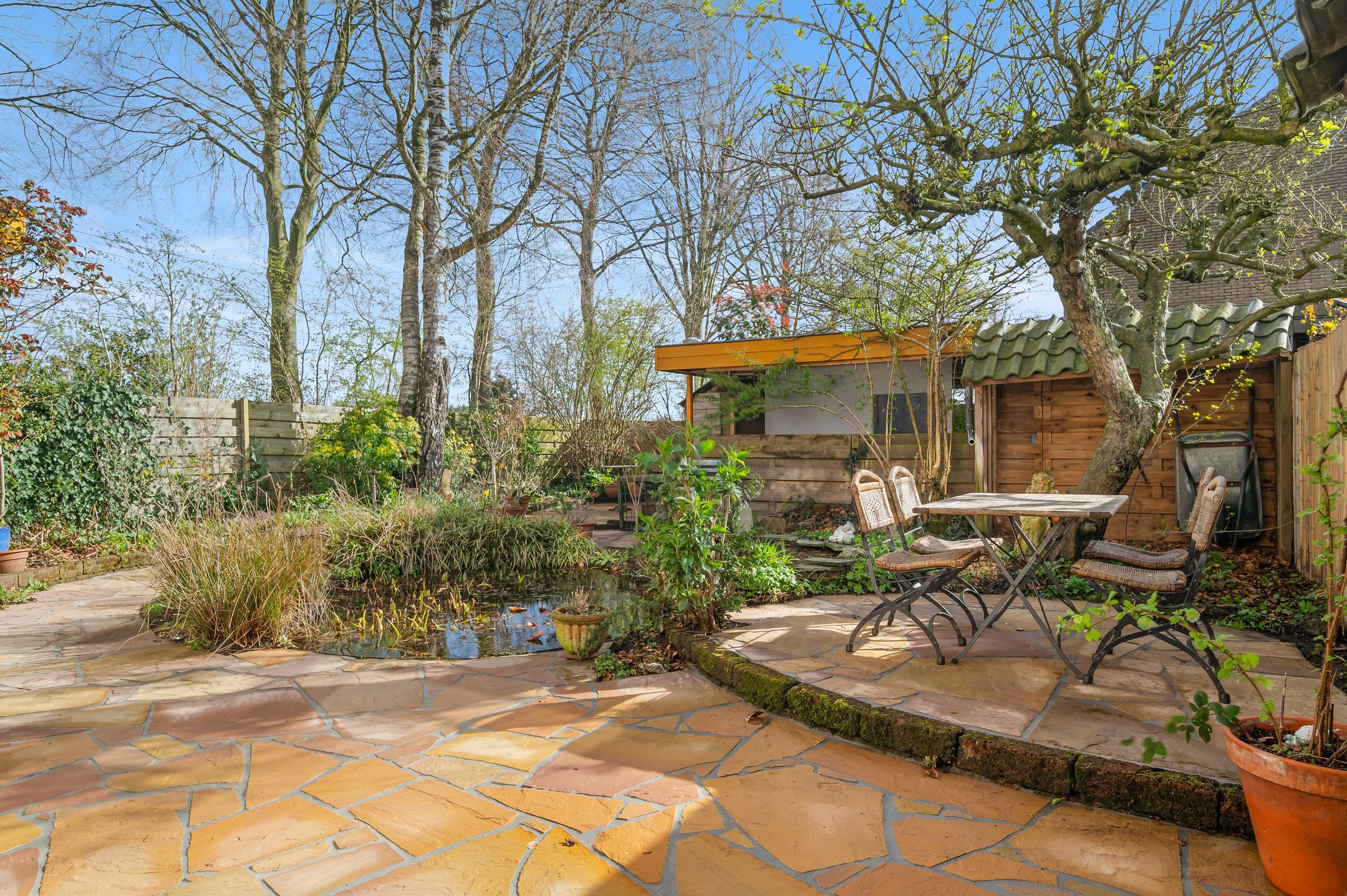 Foto 36 van Noorderenk 81