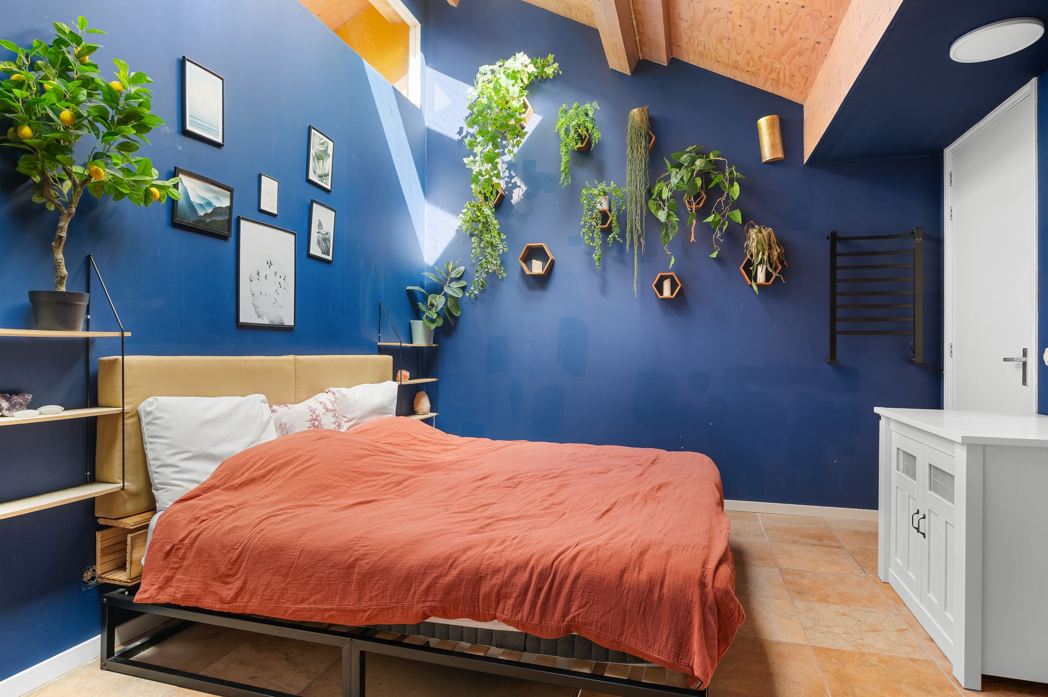 Foto 18 van Noorderenk 81