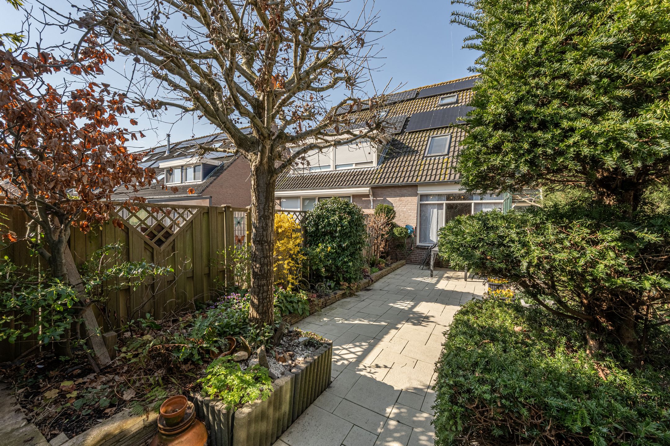 Foto 33 van Martin Luther Kingerf 23