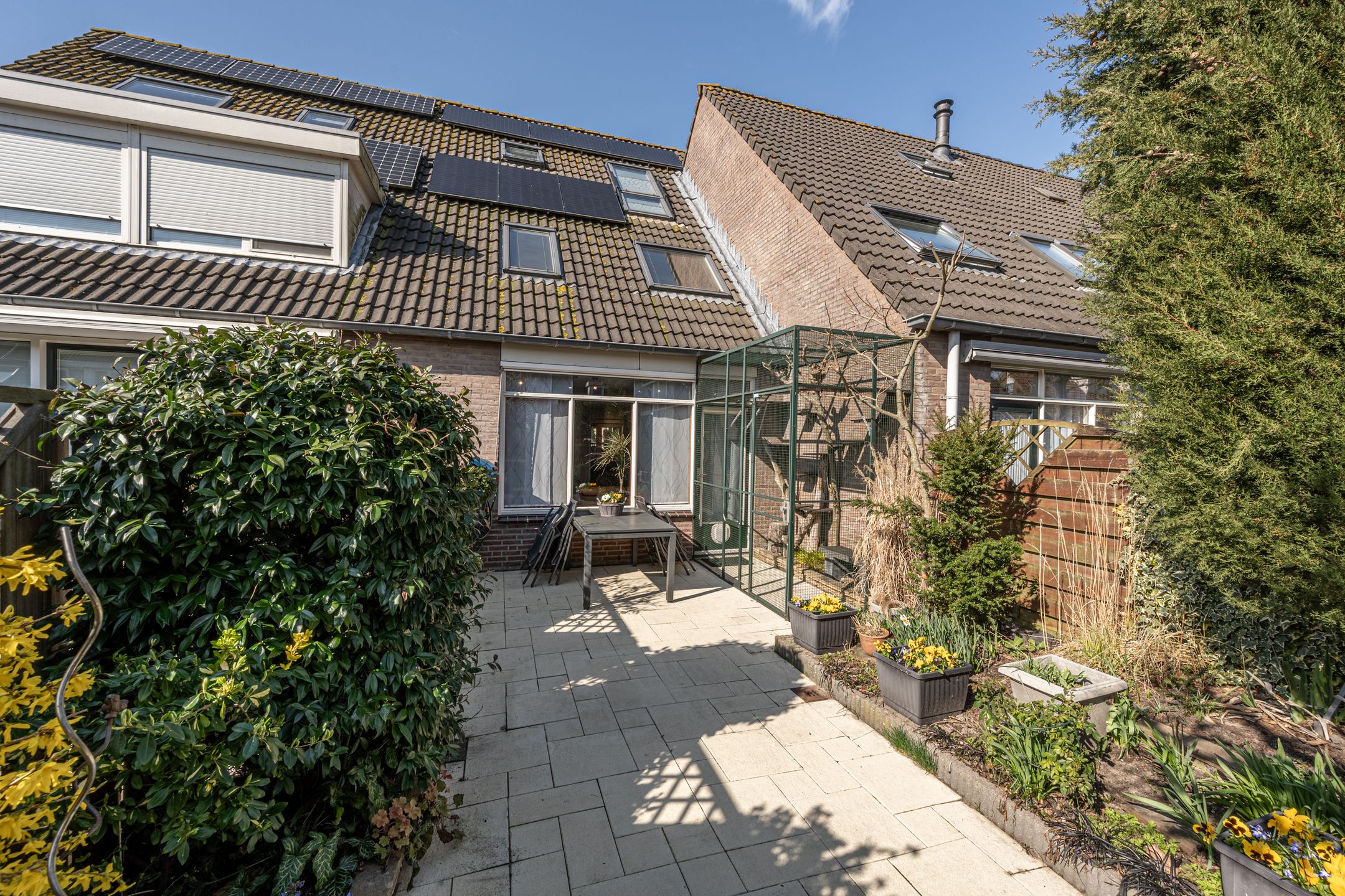 Foto 30 van Martin Luther Kingerf 23