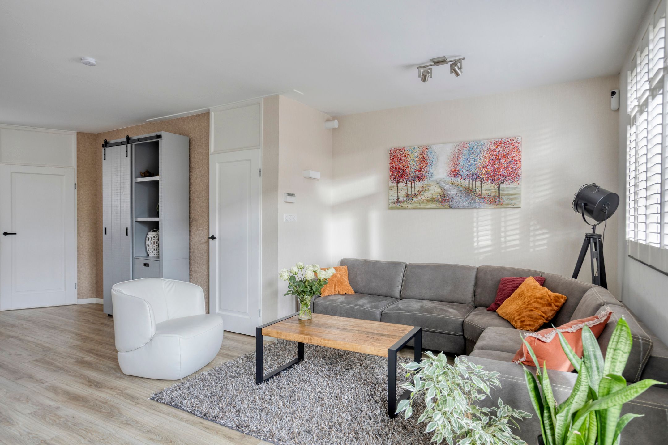 Foto 18 van Weidemolen 13