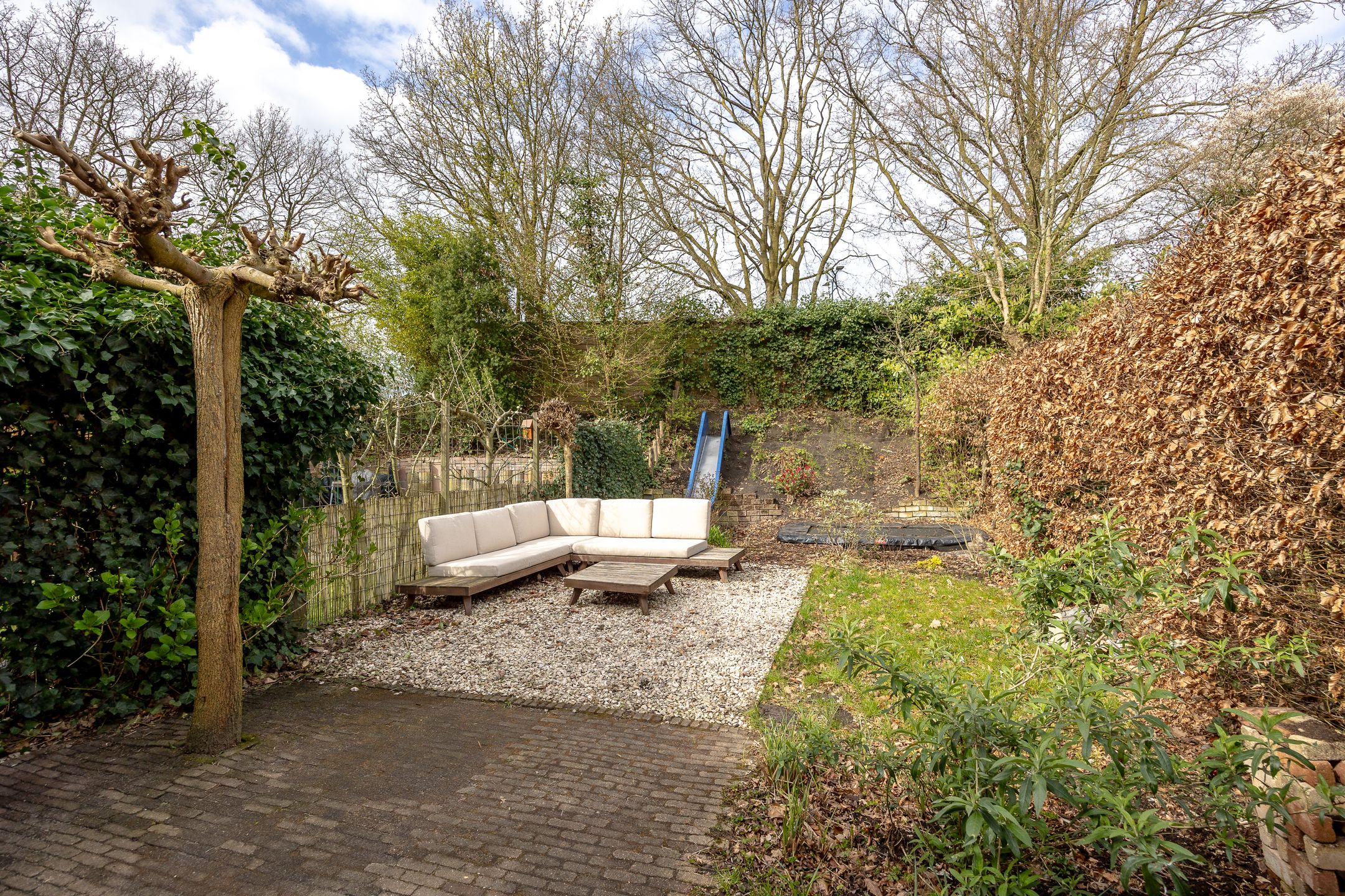 Photo 18 of Tolick 77