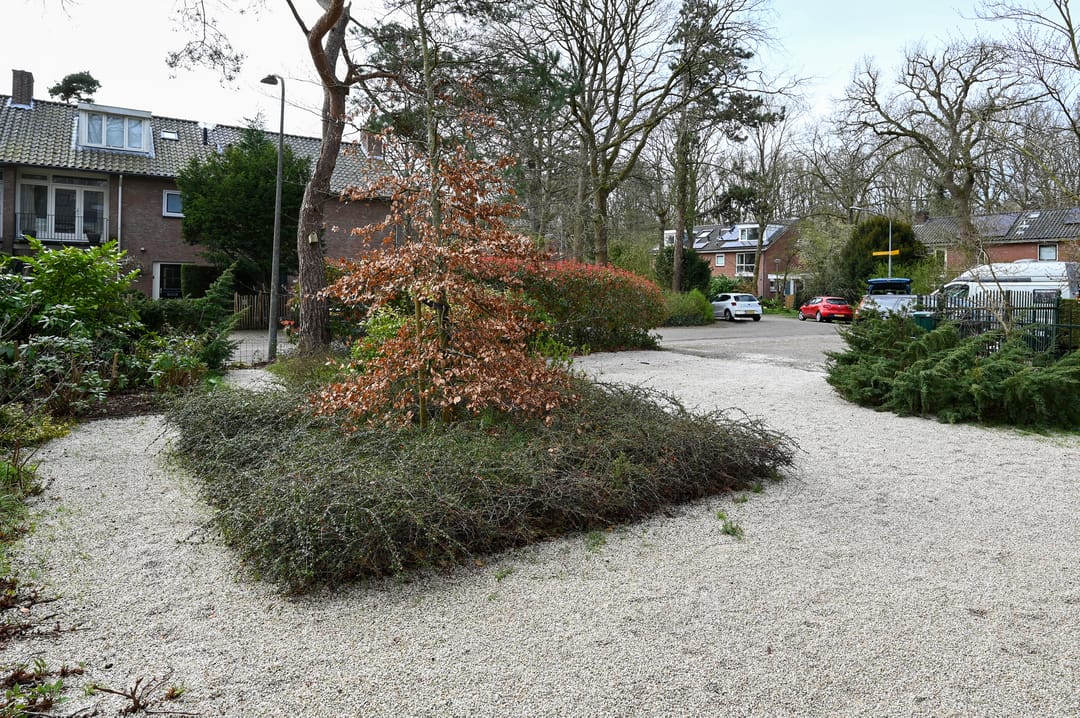 Photo 26 of Ruys de Perezlaan 44