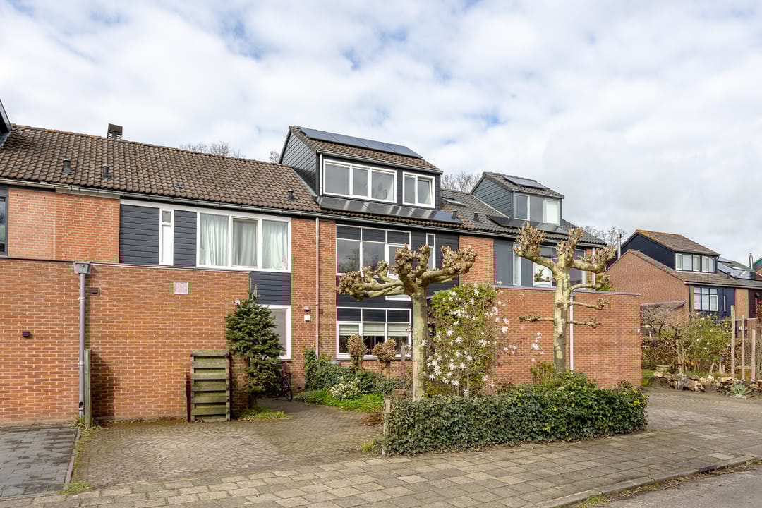 Photo 8 of Tolick 77