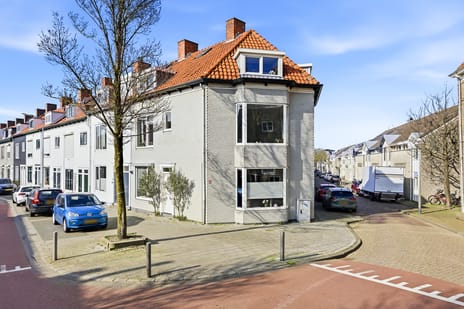 Paardenstraat thumbnail